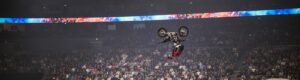 FreeStyle